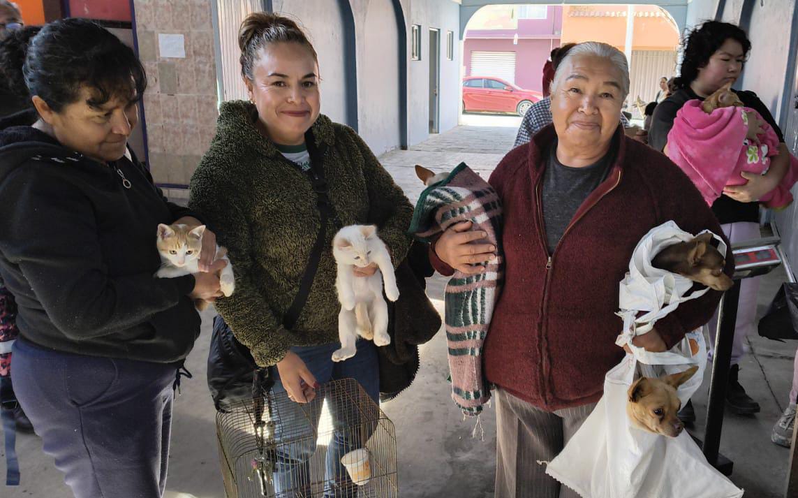 Gobierno de Blanca Angulo impulsa jornadas de esterilización canina y felina en Chiautempan